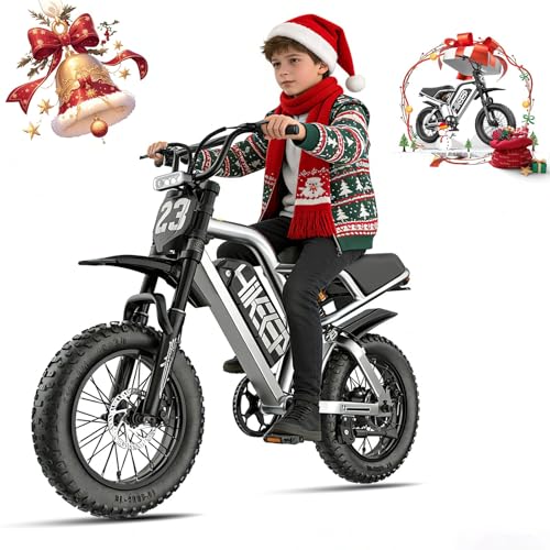 HiKeep Electric Bike for Adults - 1500W Peak...