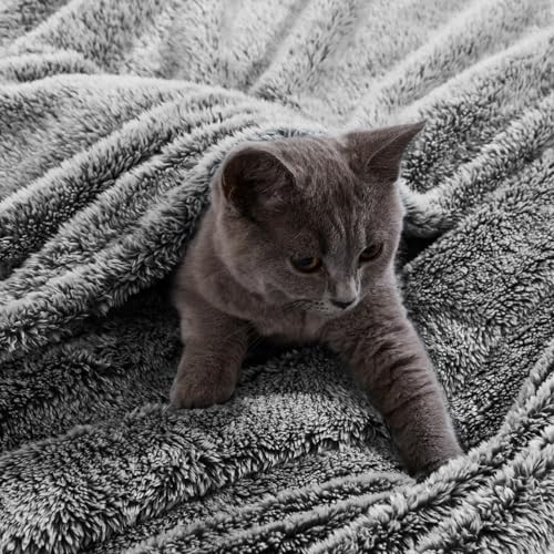 Image of Exclusivo Mezcla Plush Fuzzy Fleece Throw Blanket Extra Large, Super Soft, Fluffy and Warm Blankets for Couch, Bed, All Season (Mixed Black, 50x70 inches)
