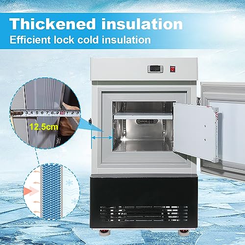 -86°C Ultra-Low Temperature Freezer30L Lab Cryogenic Freezer 113 °F Samples Flash Freezer for Laboratory Samples Storage (30L)