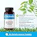BIOHERBA Knoblauch Kapseln – 100 Stück mit 260 mg hochdosiertem Extrakt mit Vitamin B1 für den normalen Energiestoffwechsel PZN 19680003