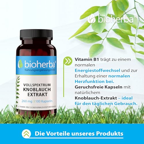 BIOHERBA Knoblauch Kapseln – 100 Stück mit 260 mg hochdosiertem Extrakt mit Vitamin B1 für den normalen Energiestoffwechsel PZN 19680003