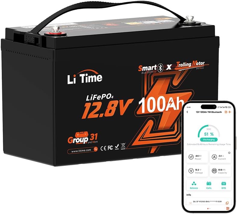 Litime 12V 100Ah LiFePO4 Battery with Bluetooth 5.0