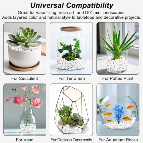 Image of Succulent Rocks,Virekm River Rocks,Decorative Ornamental Pebbles,Garden Landscaping Stones,Gravel Filler for Home Decoration Flower Bed Fish Tank Plants Vases Succulents (1, White, 2 Pounds)