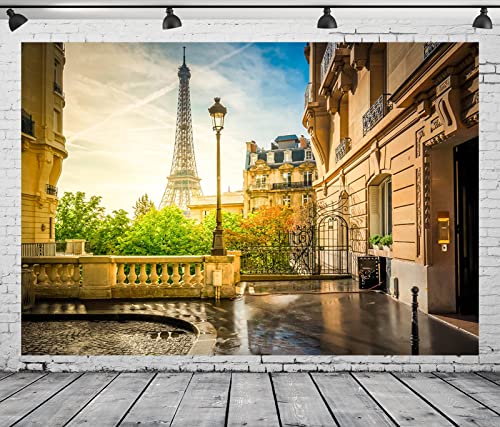 Fondo Fotográfico Paris Torre Eiffel 5x3FT Tela miniatura 2
