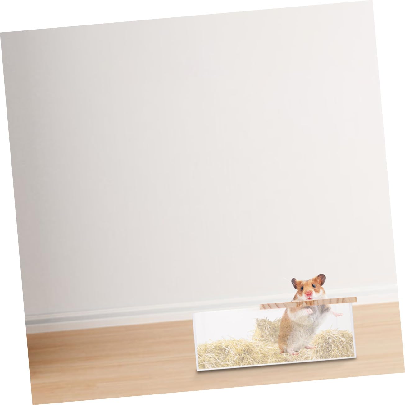 2 Stück Acryl Sandbad für Hamster und Meerschweinchen Glatte Oberfläche Sicher zum Baden und Spielen Transparent für Zuhause oder Zoohandlung