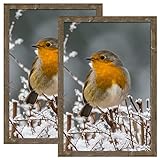 24x36 Poster Frames 2 Pack Rustic Brown Distressed Frame 36x24 Picture Frame Set for Wall with Plexi