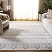 Safavieh Adirondack Collection ADR107B Ivory and Silver Rustic Bohemian Area Rug (9' x 12')