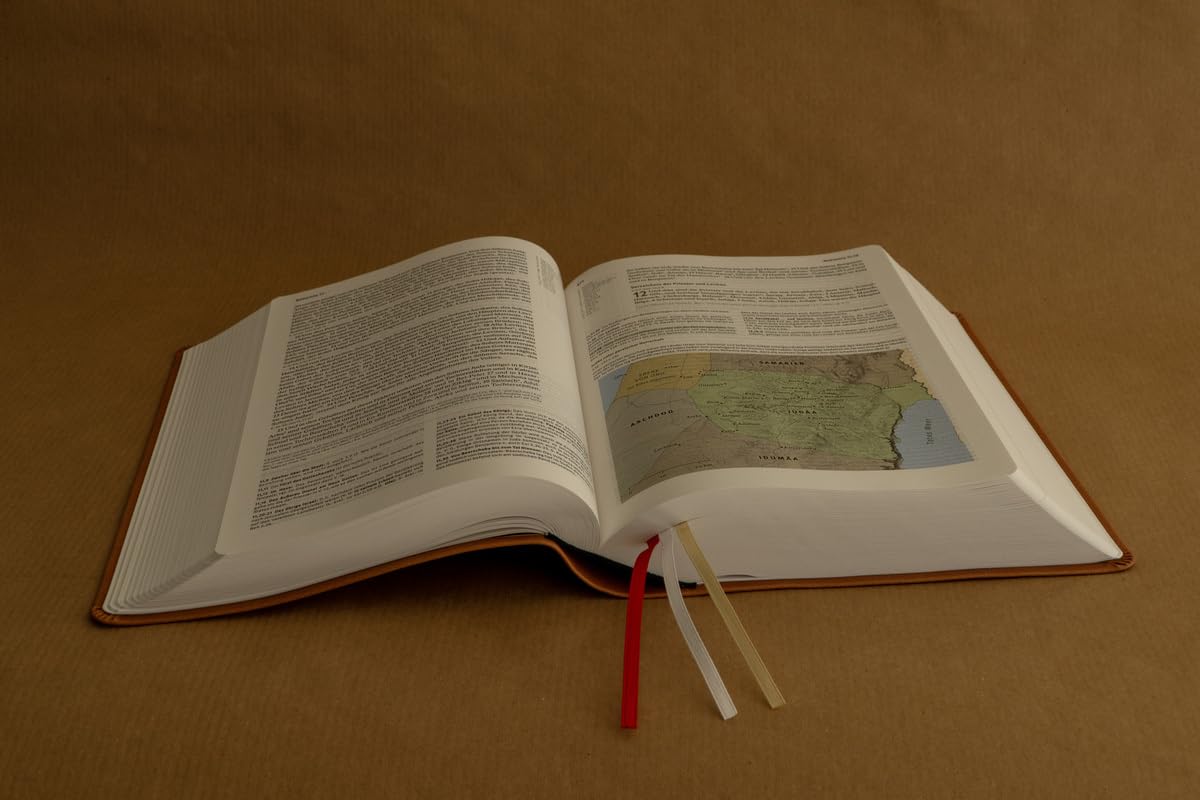Elberfelder Bibel. Die große Studien- und Kommentarausgabe, Kunstleder Beige