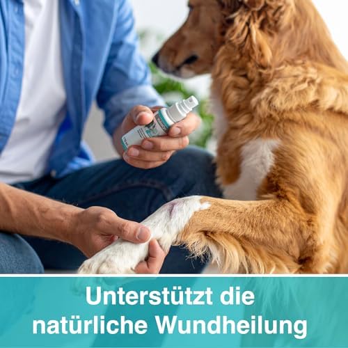 Alfavet VulnoCyn Hydrogel 75 ml – Heilfleckentraspira für Hunde, Katzen & Kleinsäuger – Bakterien-, Viren- & Pilzinfekti