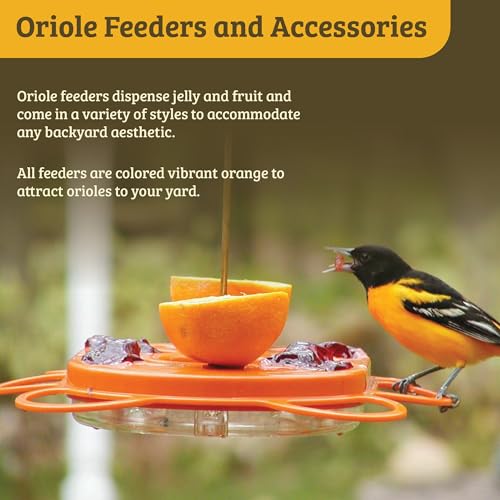 Birds Choice OFF Oriole Flower-Shaped Feeder W/Heart Ornament thumb #4