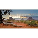 Leyiyi 36x24 inches Monument Valley Photography Background American National Park Navajo Tribal Park Western...