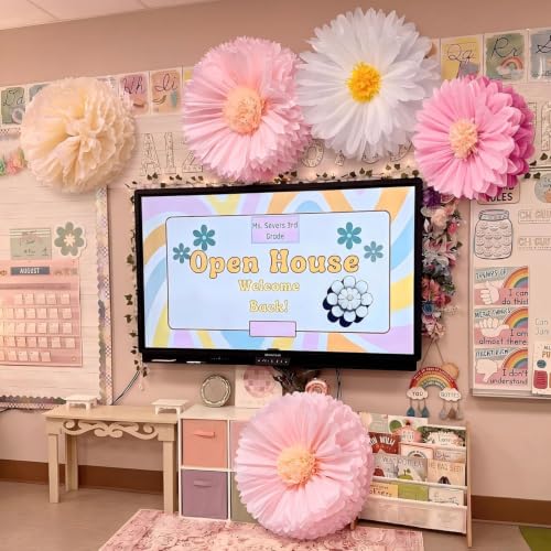 Image of Chunful 5 Pcs 30'' 24'' Pink Giant Tissue Paper Flowers for Back to School Decor Large Hanging Crepe Paper Pom Poms for First Day of School Bulletin Board Welcome Party Decor