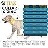 Chain-Dog-Collars-for-Medium-Large-Dogs-Heavy-Duty-19MM-Gold-Cuban-Link-Dog-Collar-Chew-Proof-with-Customized-ID-Tag-18 Stylish and Durable Gold Cuban Link Dog Collars - Customizable