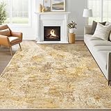 5x7 Area Rugs for Living Room:...