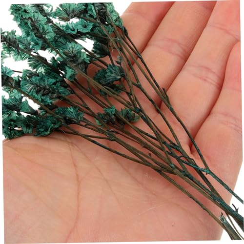 Flores prensadas naturales para manualidades 1 unidad miniatura 6