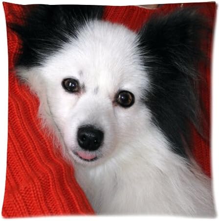 2015 New Fashion Good Quality Square 45x45cm Pillowcase, Lovely Cute Animal Papillon Dog Sleeping Cuchion Cover
