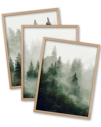EcoHest 12x16 in Foggy Pine Forest Framed Wall Art Set of 3