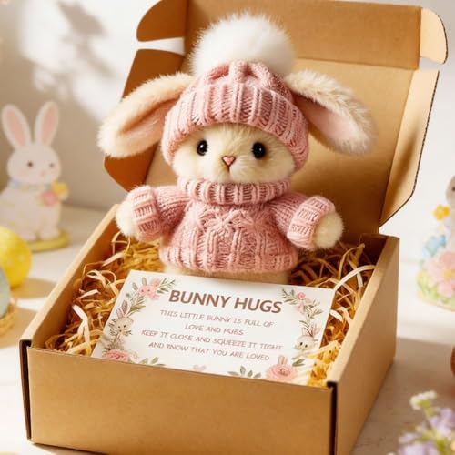 Dycuka Emotional Support Inspirational Basket Bunny Home Decor Positive Handmade Mini Bunny Hug 2026 New Mini Rabbit in Box with Card for Women Men