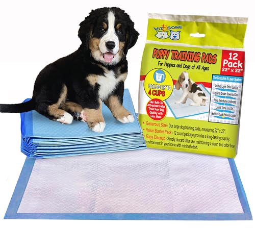 Scoochie Pets Large Dog Training Pads - 12 Pack Puppy Pads, 22 x 22 Absorbent Sheets for Adult & Young Pets - Convenient Box of Leak-Proof Pee Pads for Dogs, Ideal for Home & Travel