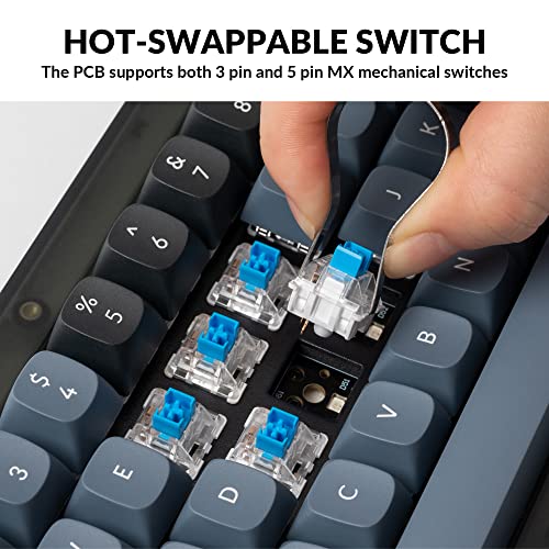 Image of Keychron V2 Wired Custom Mechanical Keyboard, 65% Layout QMK /VIA Programmable Macro with Hot-swappable Keychron K Pro Blue Switch Compatible with Mac Windows Linux (Frosted Black - Translucent)