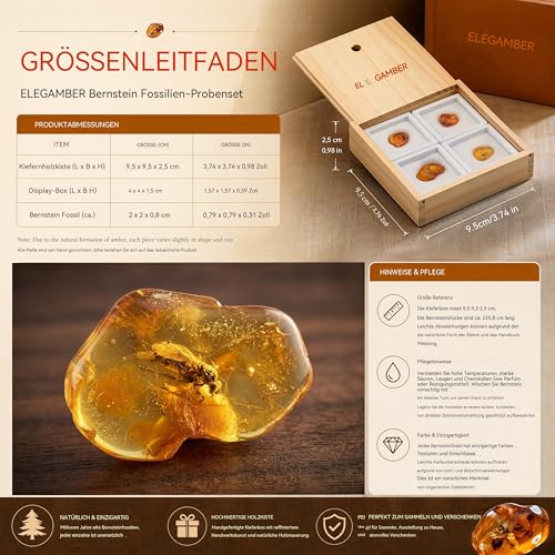 ELEGAMBER Natürlicher fossiler Baltischer Bernstein, Insekten von vor Millionen von Jahren, 4 Sets, echte Insektenproben, Wissenschaft, Bildung, Tierexemplare (Mittelgroße, bernsteinfarbene fossile)