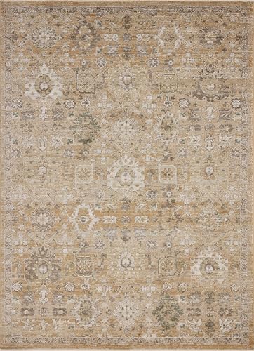 Loloi Magnolia Home by Joanna Gaines Pace Collection PAC-07 Sunset/Stone 9'-6" x 12'-3" Area Rug