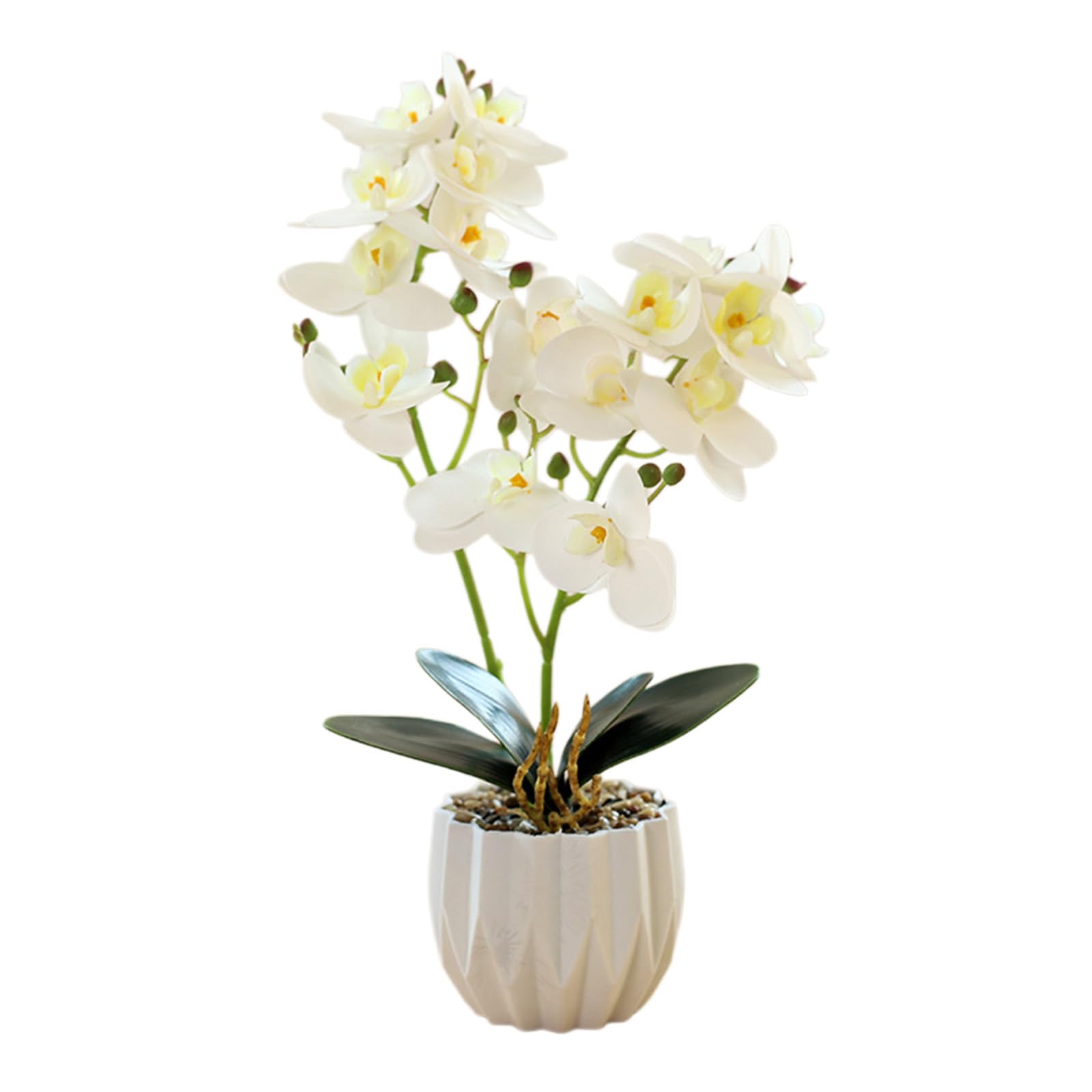 Limtula 2 Prongs 16 Flower Phalaenopsis Orchids Bonsais Artificial Plant for Home Decoration Tabletop Centerpiece Flower Beloveds