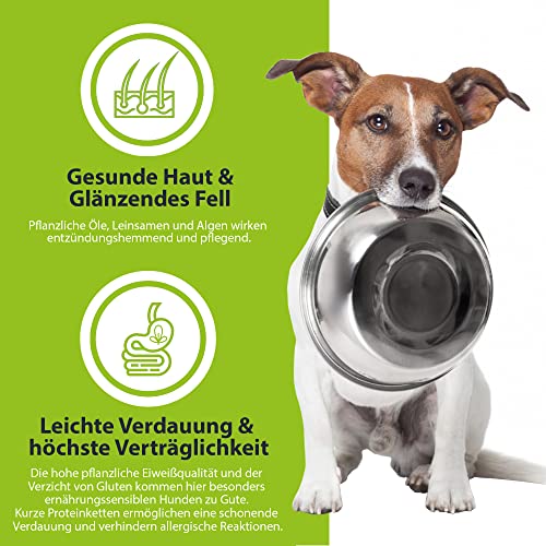 German Shephy Vegan Dog Food | 500g | Veganes Hunde Trockenfutter | Hypoallergenes Hundefutter trocken getreidefrei, im Sack für Junghunde, Erwachsene & Senior, sowie Allergiker