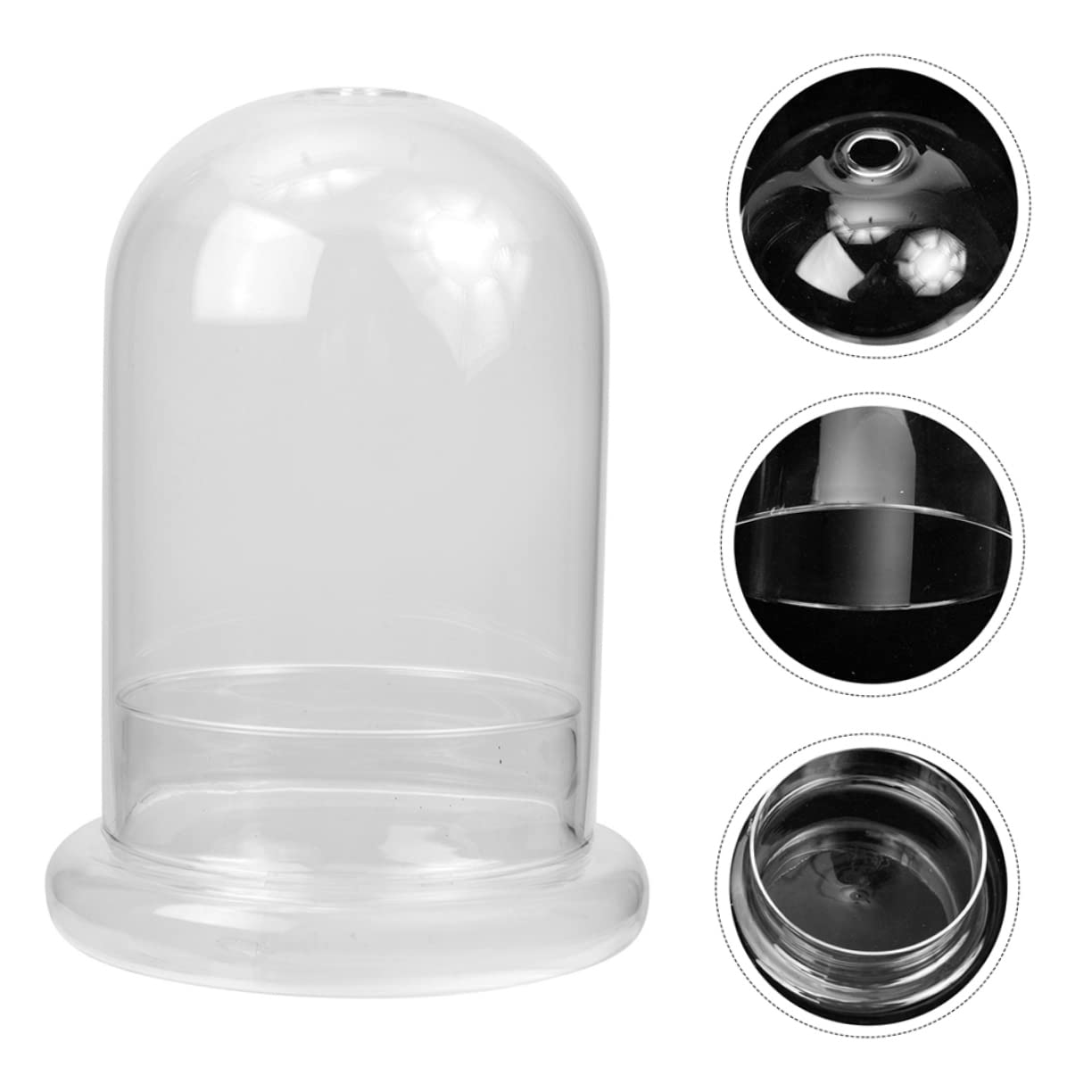 BESTonZON Vaso Terrario Bottiglia in Vetro Ecologica Per Micro Paesaggi Coltivazione Di Piante Di Muschio Contenitore Decorativo Per Paesaggi Fai Da Te