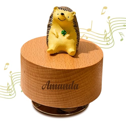 Personalized Animal Musical Box for Kids, Name Custom Engraved Wooden Music Box,Personalized Wooden Musical Toy Valentine's Gift for Couple, Baby Shower Birthday Gift, Anniversary Romantic Gift