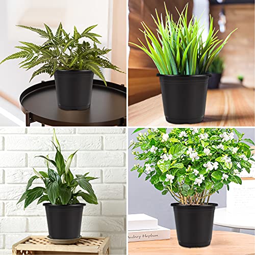 Miniatura 7 de Augshy Macetas De Plástico, 40 Unidades, 10 Cm, Macetas De Jardín, Macetas De Plástico Para Propagación De Plántulas Suculentas, Trasplante De Esquejes Negro