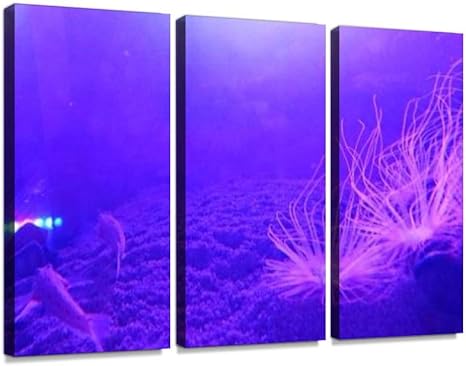 Amazon 魚 美術 クラゲ 生き物 芸術 くらげ 催事 展示 海月 アート きれい 漂う アクアリウム 綺麗 泳ぐ キレイ 水族館 生物 神秘 水槽モダン アートボード 壁アート 壁掛け モダンアート 壁飾り木枠セット 壁芸術 新築祝い インテリア オンライン通販