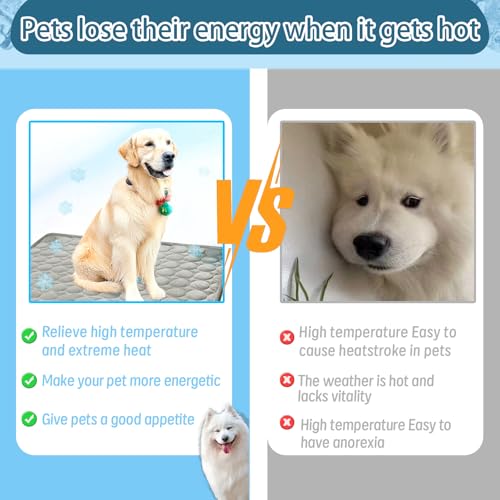 Mulomir Kühlmatte für Hunde Katzen, Haustier Waschbar Kühldecke, Sommer Selbstkühlende Hundematte für Drinnen, Draußen und Auto (Grau, 70x55cm)