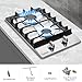 12 Inch Gas Cooktop, 2 Burners Stovetop Built-in Stainless Steel Stove Top Natural Gas/Propane Convertible Cooker for Outdoor, Apartments, RVs