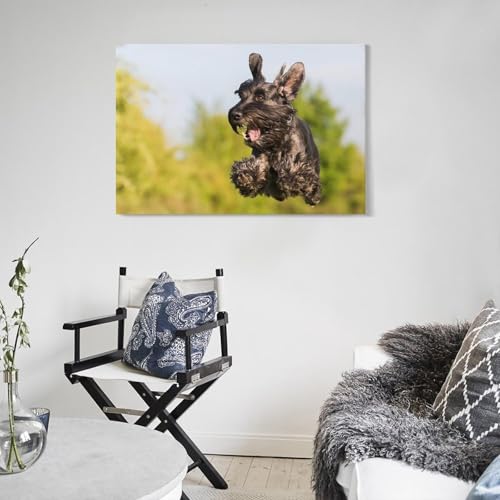 Poster Schnauzer impression sur toile tableau décoration murale 40x60 - 5