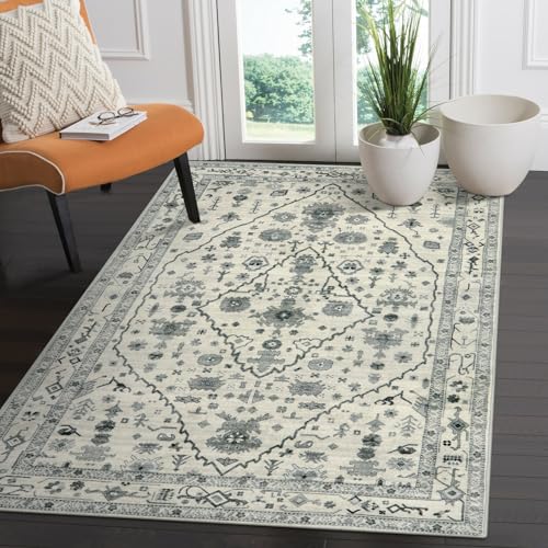 Lahome Small Washable Rugs 3x5, Non Slip Bathroom Area Rug, Kitchen Rugs and Mats Non Skid, Oriental Printed Soft Kid Pet Friendly Indoor Throw Carpet for Entrance Office Decor, Grey 3' x 5'