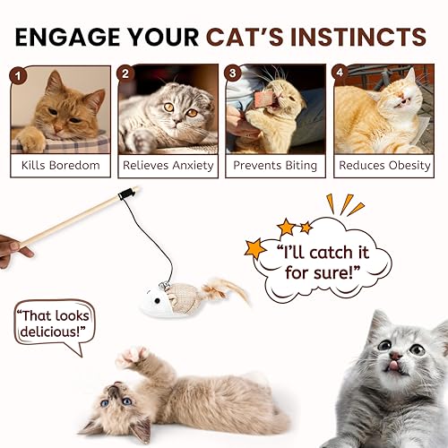 Image of Foodie Puppies 5 Pcs Cat Teaser Stick Toy Gift Combo for Cats & Kittens - (Woolly, Stripe, Rattle, Ball, Mouse Bell) | Interactive Play with Natural Feather Wooden /Plastic Wand Teasing Stick (40cm)