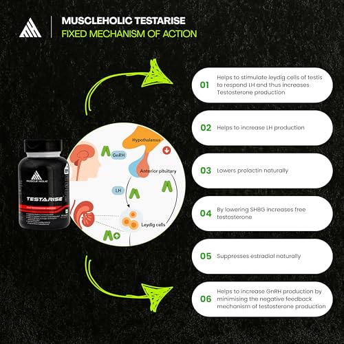 Image of Testarise Men's Vitality Supplement | Natural Blend with KSM-66 Ashwagandha, Shilajit & Zinc | Boosts Energy, Stamina & Strength | Supports Muscle Performance | 90 Capsules, 100 g