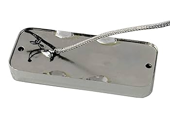 Thunderbird Pickups w/Rings and Screws : Amazon.ca: Musical