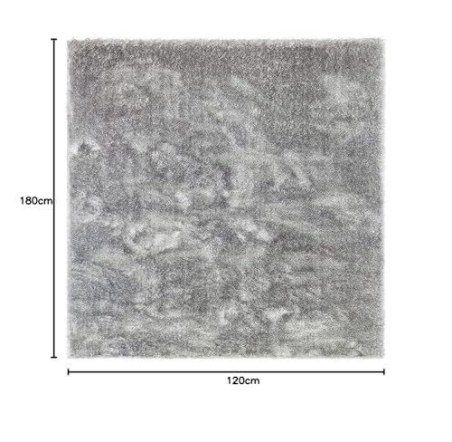 Image of F & B RUGS ; SUPERIOR QUALITY PRODUCTS Firoz and Brothers Handwoven Super Soft Indoor Modern Shag Microfibre Silky Fluffy Smooth 4x6 feet Silver Grey