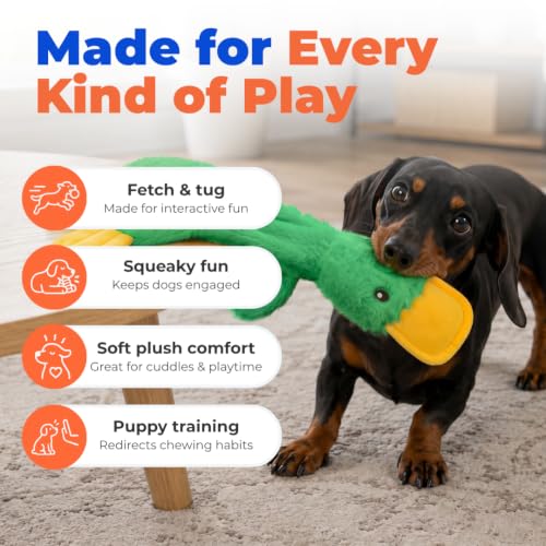 Image of Best Pet Supplies Crinkle Dog Toy for Small, Medium, and Large Breeds, Cute No Stuffing Duck with Soft Squeaker, Fun for Indoor Puppies and Senior Pups, Plush No Mess Chew and Play - Green,PT336