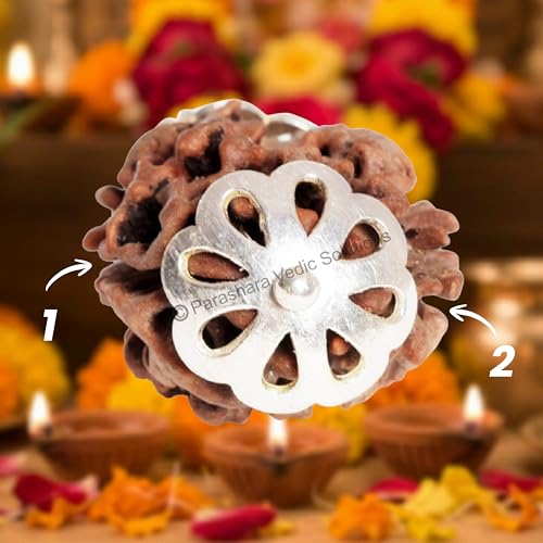 Image of ARKAM Two Mukhi Oval Rudraksha Certified /Original 2 Mukhi Rudraksh /Natural 2 faced Rudraksha with Silver Pendant (Brown) with Certificate and Puja Instructions