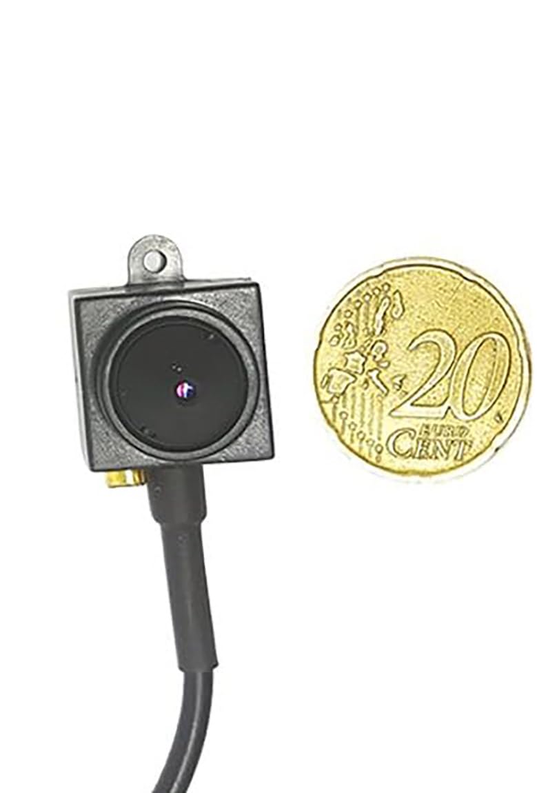 Mini Telecamera Pinhole Spia Nascosta Spy Cam con Microfono per Audio. Microspia Può Essere Visualizzata Direttamente su Monitor, Incluso 1 Alimentatore 12V-1Ah - Per Interno- NO WIFI