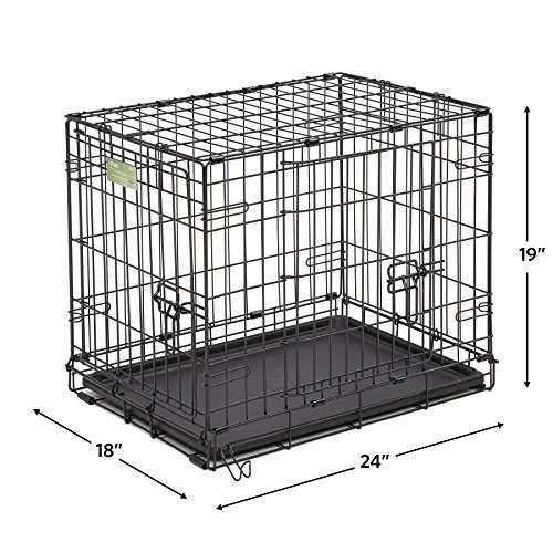 MidWest Homes for Pets iCrate Hundebox-Starterset, für kleine Hunderassen, inklusive Hundebox mit 2 Türen, Haustierbett, 2 Näpfe und Sichtschutz, 61 cm