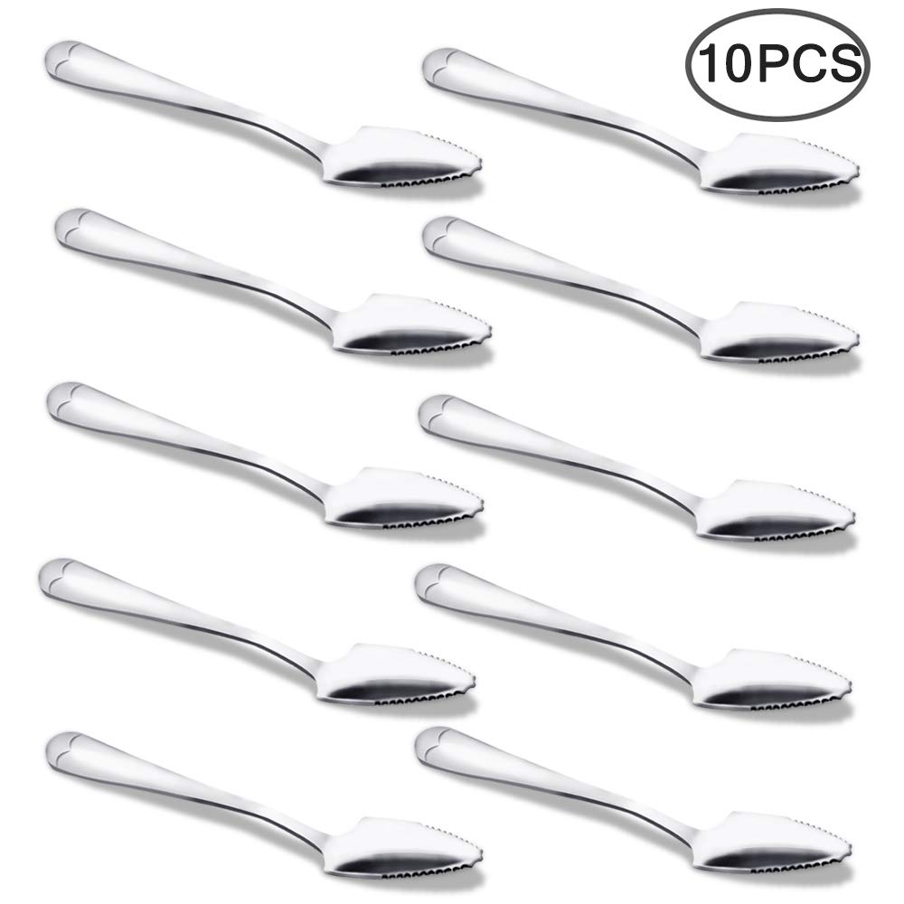 Set of 10, Grapefruit and Dessert Spoon, SourceTon Stainless Steel with Serrated Edge Spoons, 6-inch