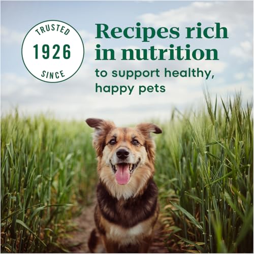 Image of Nutro Max Mini Chunk Adult Dry Dog Food, Farm-Raised Chicken, 25 lb