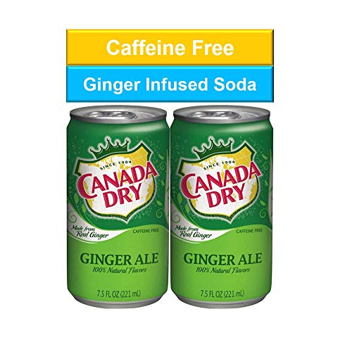 Canada Dry Ginger Ale Mini Soda Cans, 7.5 Oz Soft Drinks Bulk Snacks Pack, Small Refrigerator & Snack Pantry Drink 36 Count Beverage Kitchen Supplies #TOP1