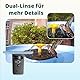 Birdfy Smart Vogeltränke Stehend mit Dual Kamera, Solar Vogeltränke Winterfest Vogelbad für Draußen Garten, Automatisch Aufnahm, Echtzeit Benachrichtigung, Zeitlupenvideo, Farbnachtsicht