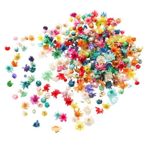 280 mini flores secas para manualidades y resina miniatura 1
