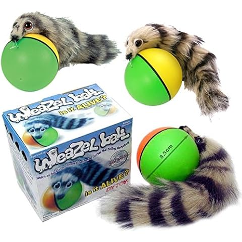 D.Y.TOY Weazel Ball - 3 Pack - Battery Operated Toy for Kids, Adults, Dogs or Cats All Breeds Cover